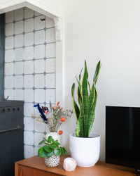 inspiratie-1