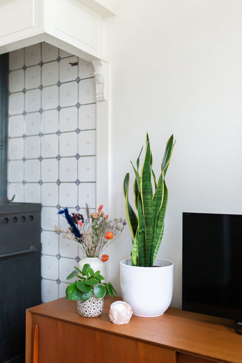 inspiratie