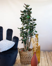 inspiratie-1
