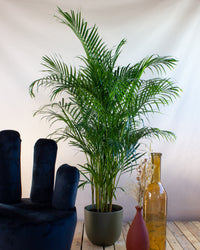 inspiratie-1