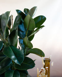 inspiratie-4