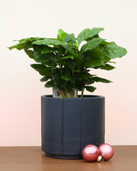 inspiratie-1