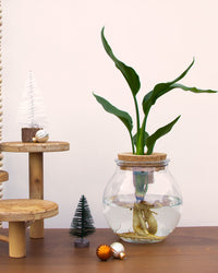 inspiratie-1