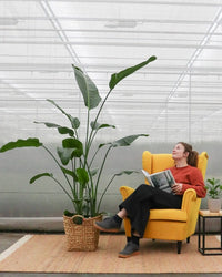 inspiratie-1