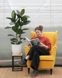 inspiratie-1
