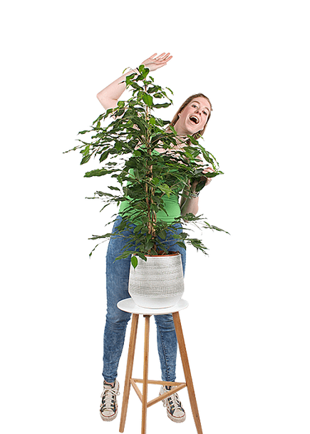 Plantenliefhebber