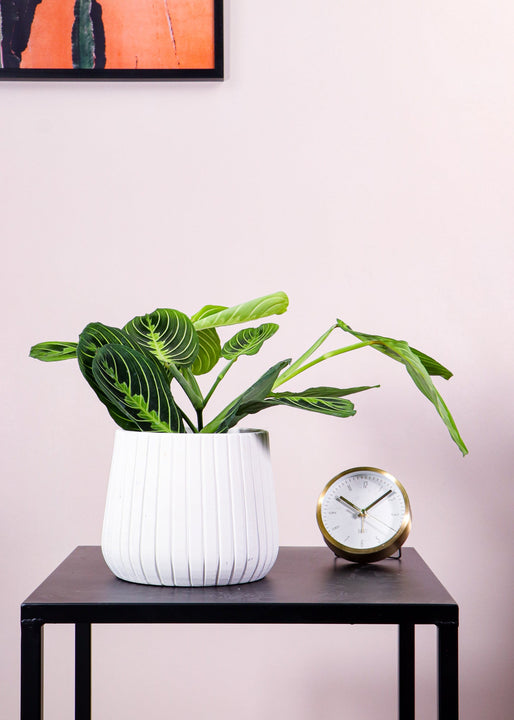 inspiratie