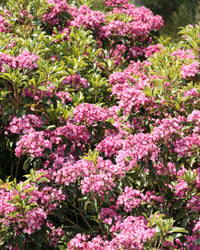 inspiratie-3