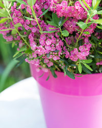 inspiratie-2