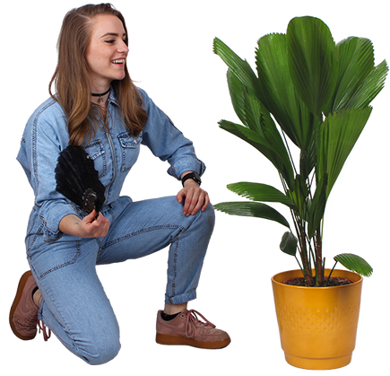 Plantenliefhebber
