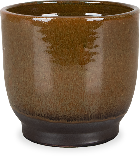 Linn (15cm)