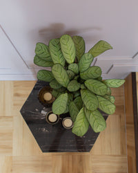 inspiratie-3