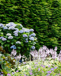 inspiratie-2