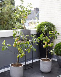 inspiratie-3