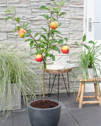 inspiratie-1