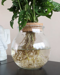 inspiratie-6