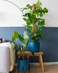 inspiratie-6
