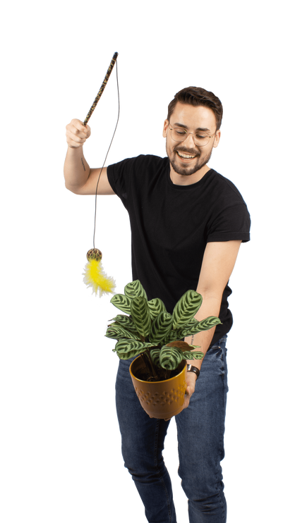Plantenliefhebber
