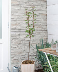 inspiratie-1