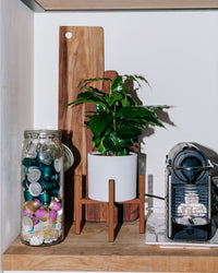 inspiratie-2