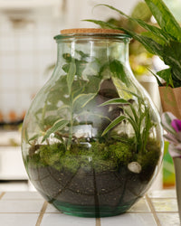 inspiratie-6