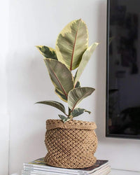 inspiratie-2