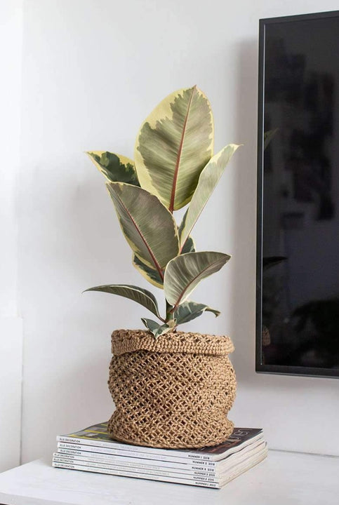 inspiratie