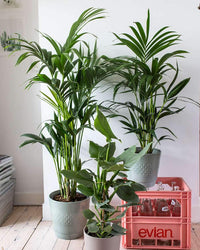 inspiratie-4