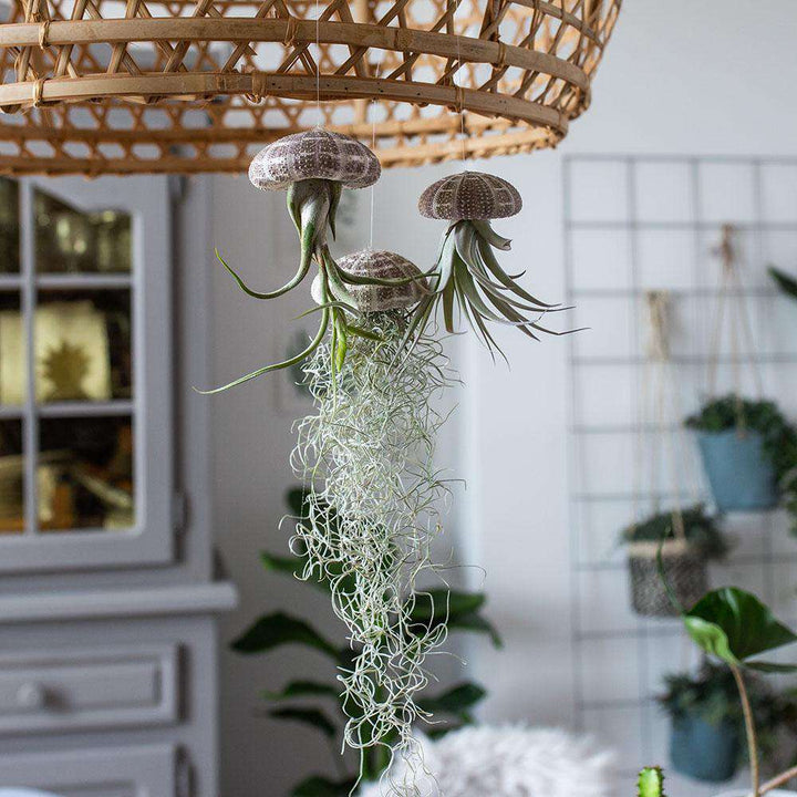 inspiratie