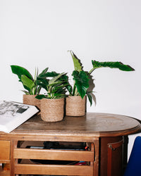 inspiratie-1