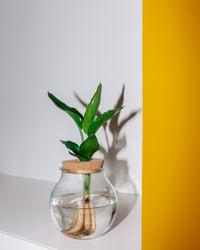 inspiratie-6