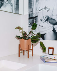 inspiratie-1