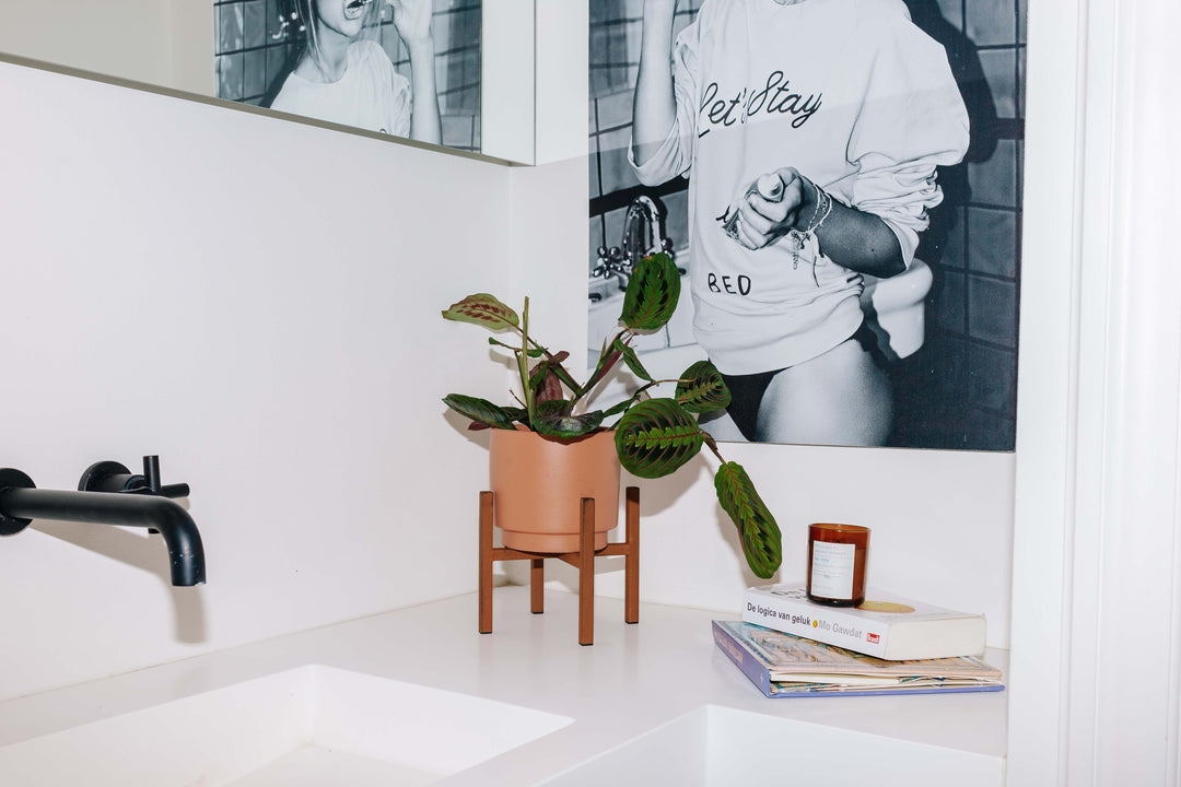 inspiratie