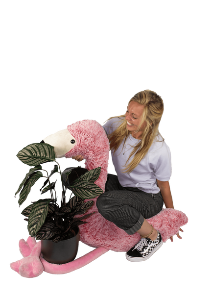 Plantenliefhebber