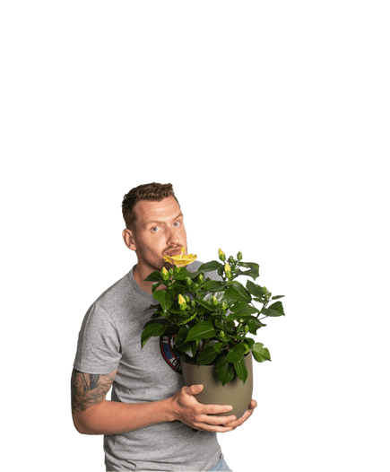 Plantenliefhebber