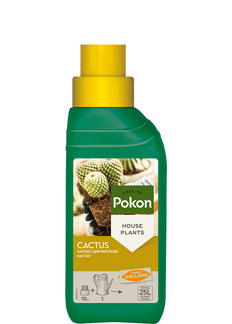 Kaktusdünger (250 ml) - Pokon