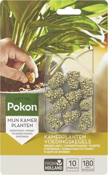 Langzeit Düngekegel für Zimmerpflanzen (10 St.)