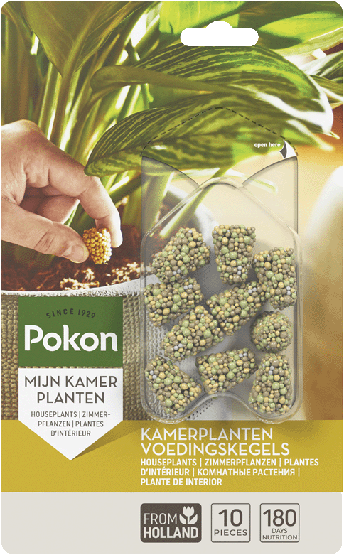 Langzeit Düngekegel für Zimmerpflanzen (10 St.)