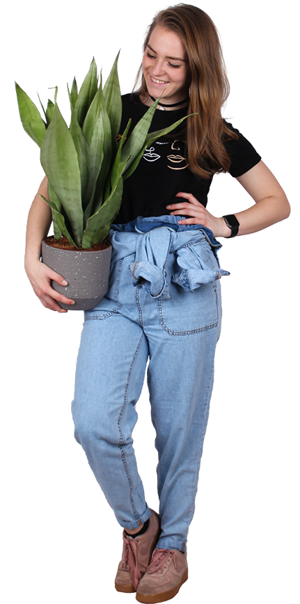 Plantenliefhebber