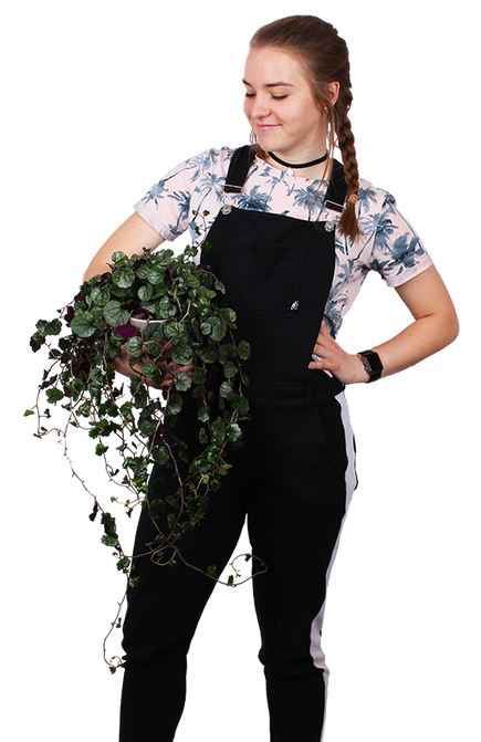 Plantenliefhebber