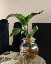 inspiratie-3