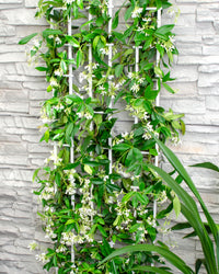inspiratie-2