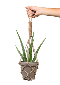 sun ozon aloe vera Aruba Aloe After Sun Skin Repair 8.5 oz main image 0