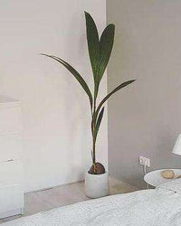 inspiratie-5
