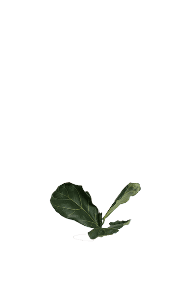 product-image-overlay