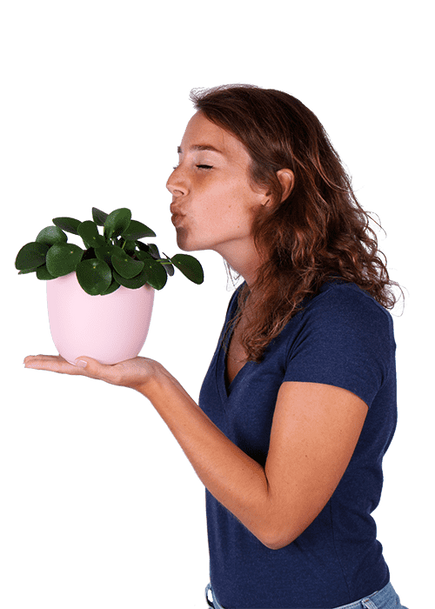 Plantenliefhebber
