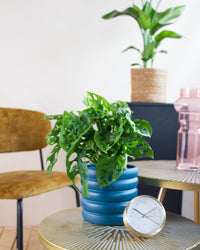 inspiratie-2
