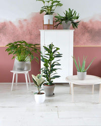 inspiratie-4