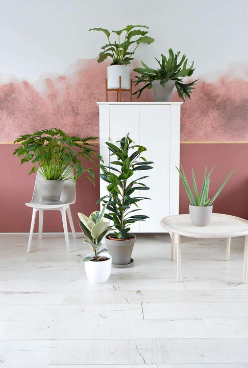inspiratie