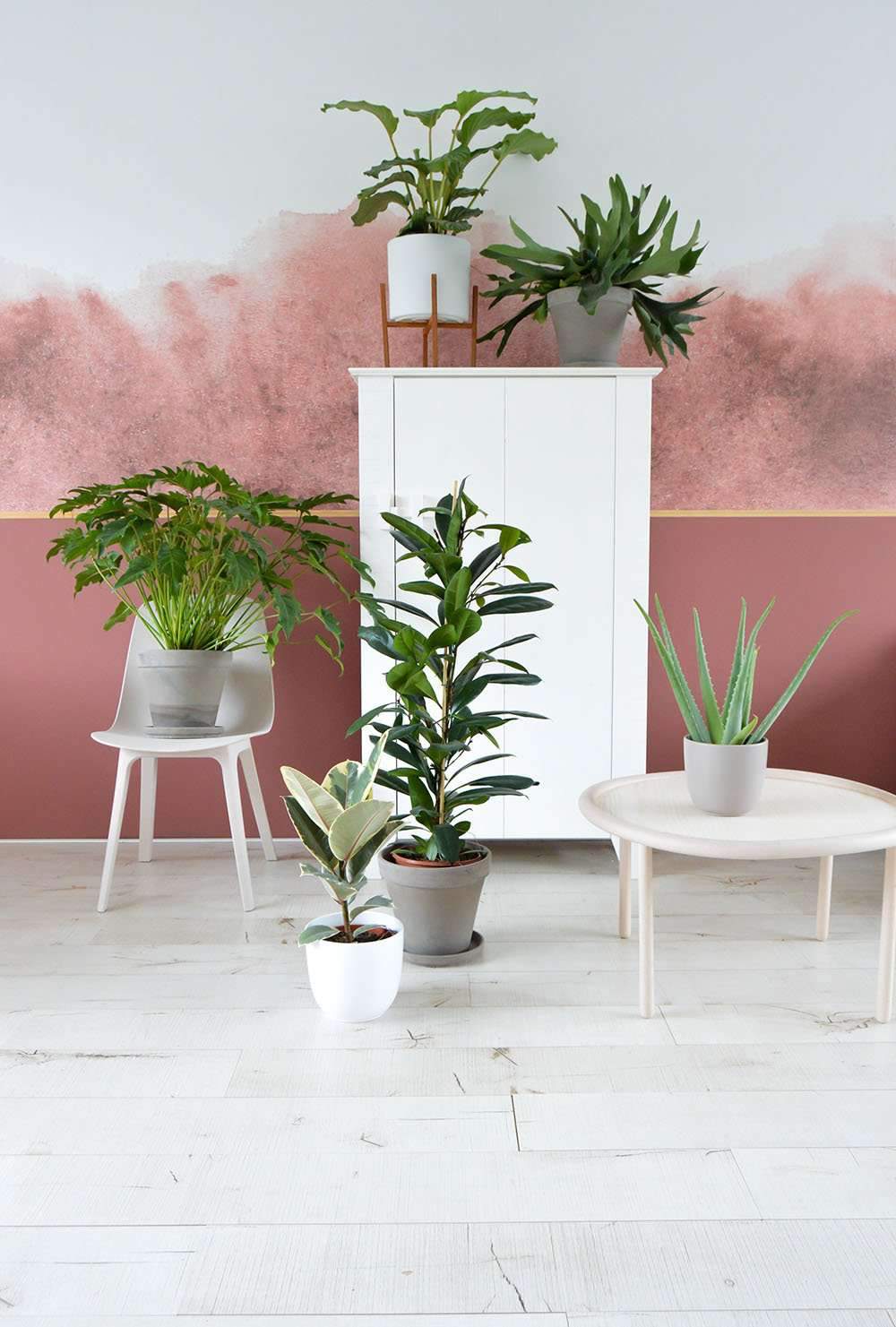 inspiratie